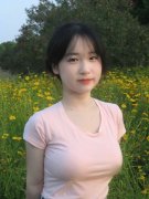 只获不到对折的支